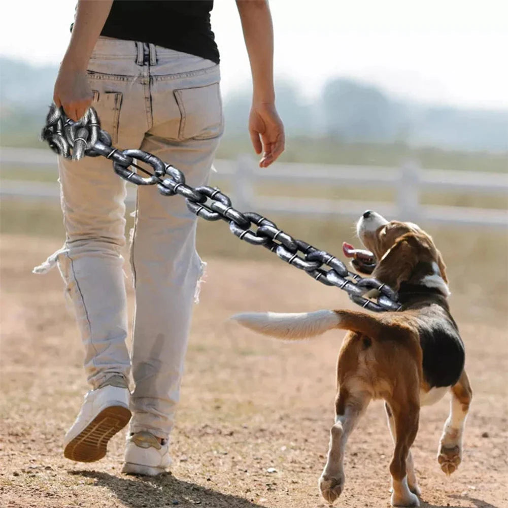 Plastic Simulation Chain for Pets