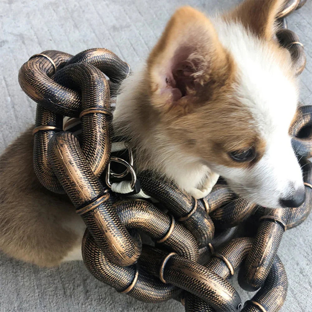 Plastic Simulation Chain for Pets