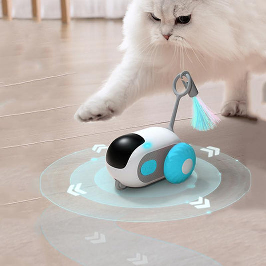 Car Design Remote Control Electric Cat Toy 