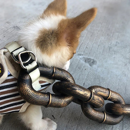 Plastic Simulation Chain for Pets